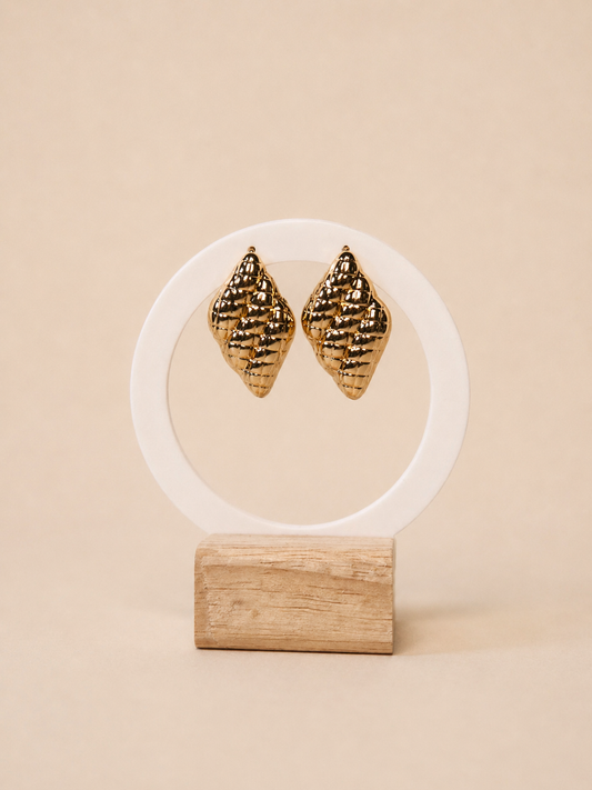 BOUCLES ARFI