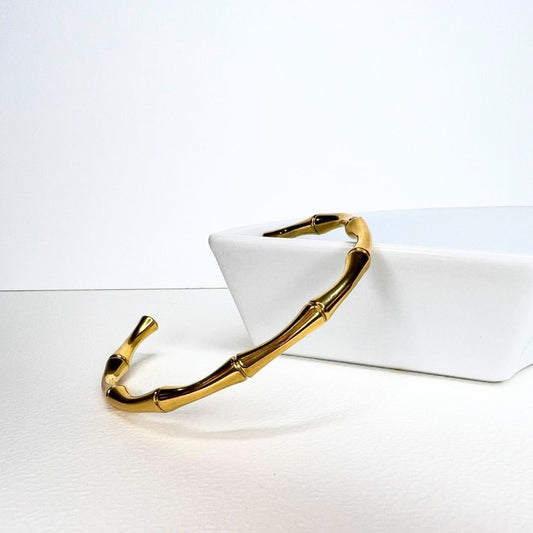 BRACELET JONC ODELISE